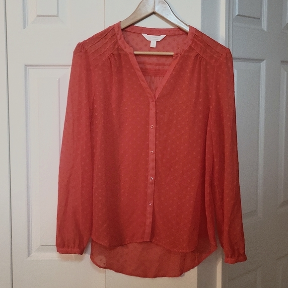 Lauren Conrad semi-sheer long sleeve top - Picture 1 of 6